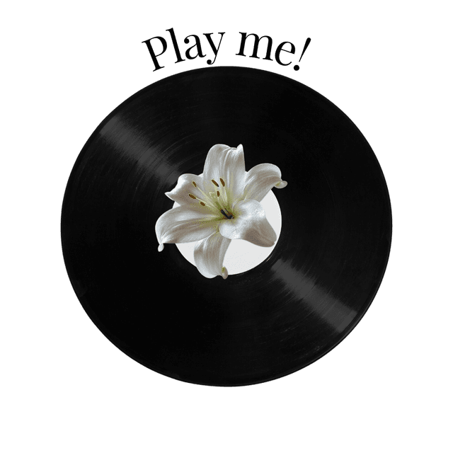 Vinyl Record